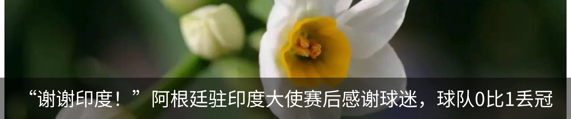 新闻动态