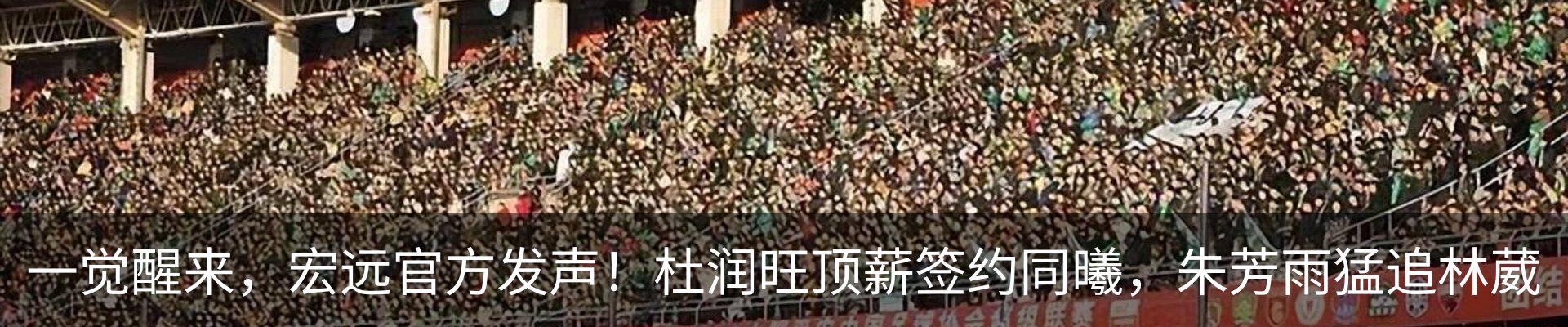 新闻动态