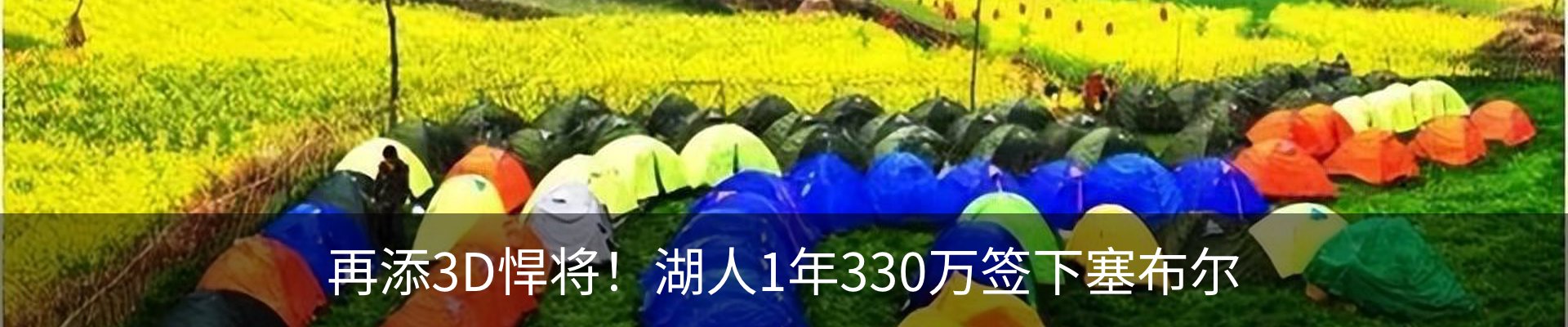 新闻动态