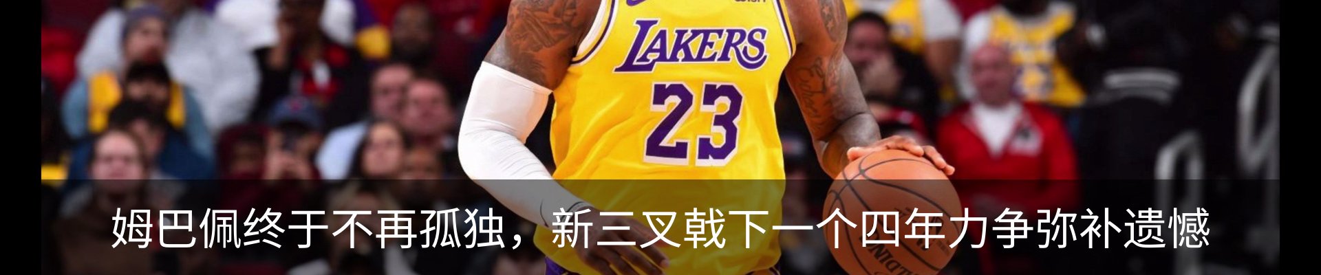 新闻动态