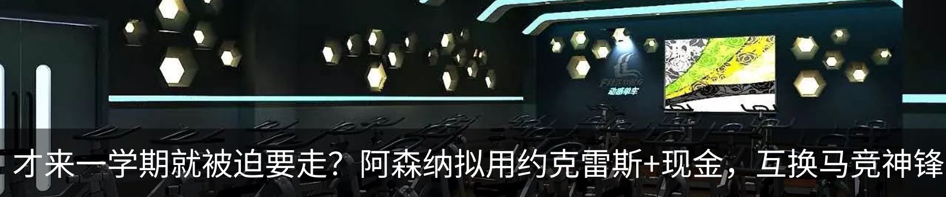 新闻动态