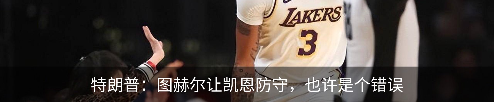 新闻动态